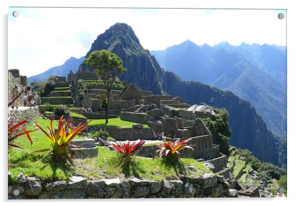 Machu Picchu,Peru Acrylic by Mervyn Tyndall
