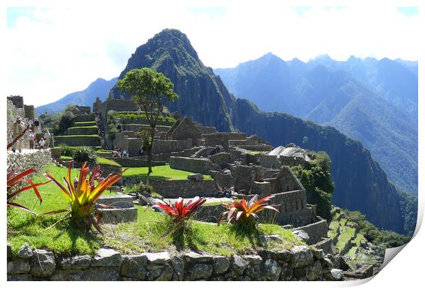 Machu Picchu,Peru Print by Mervyn Tyndall