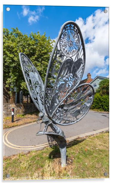 Butterfly sculpture at Chichester Canal Acrylic by Geoff Smith