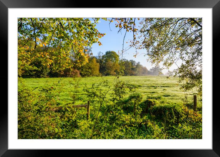Autumn Morning Scene Framed Mounted Print by Geoff Smith