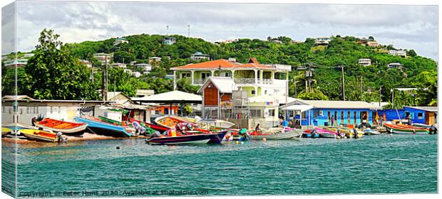 Le Gros Islet Boats Canvas Print by Peter F Hunt
