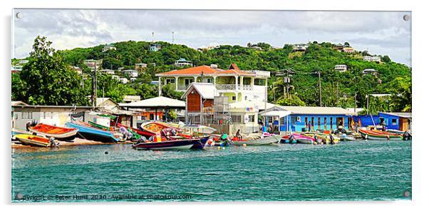 Le Gros Islet Boats Acrylic by Peter F Hunt