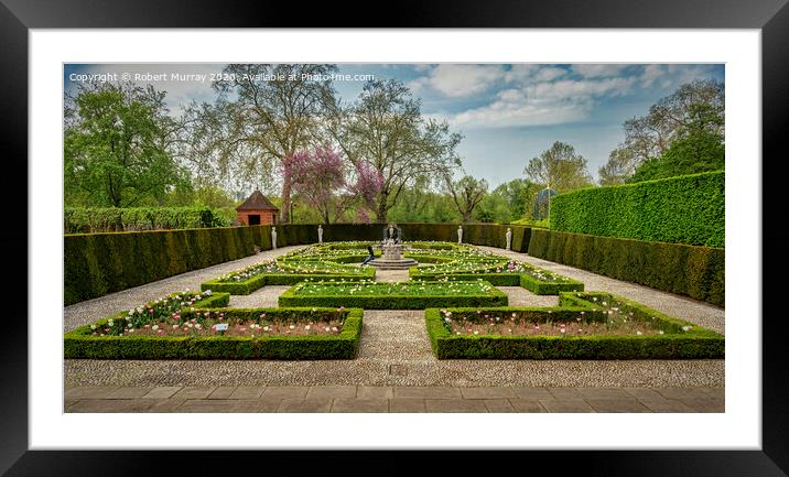 Tulip Parterre Framed Mounted Print by Robert Murray