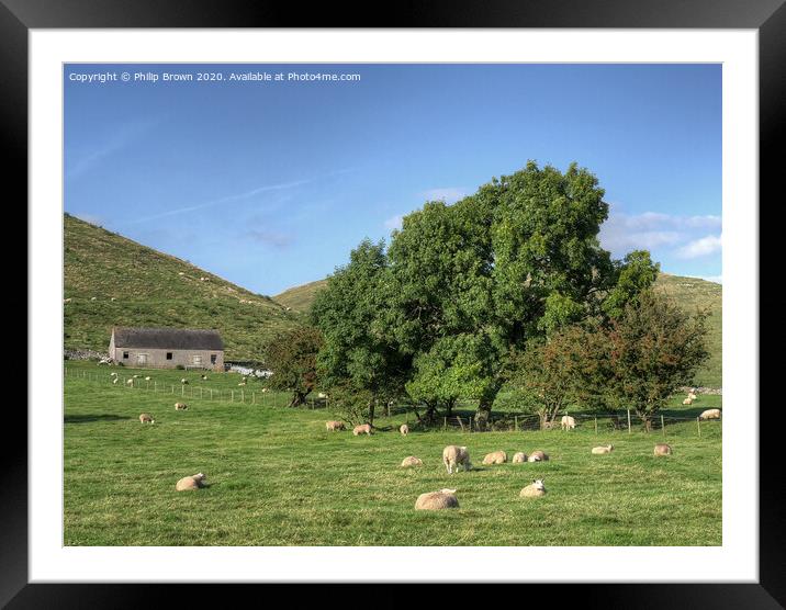 A Lush English Meadow with grazing Sheep Framed Mounted Print by Philip Brown