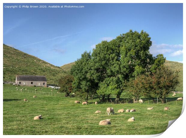 A Lush English Meadow with grazing Sheep Print by Philip Brown