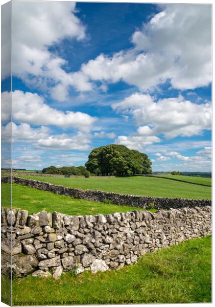 Drystone walls in the Peak District Canvas Print by Andrew Kearton