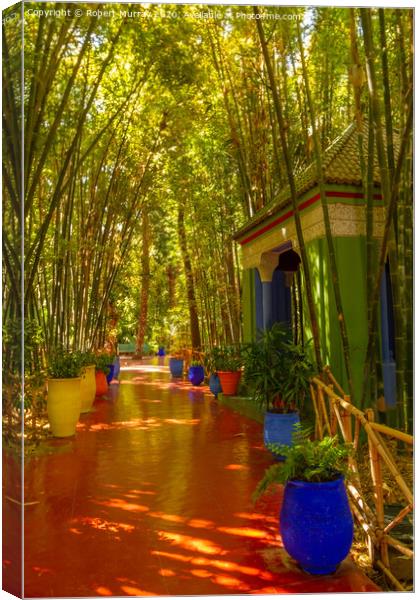 In the Jardin Marjorelle, Marrakesh. Canvas Print by Robert Murray