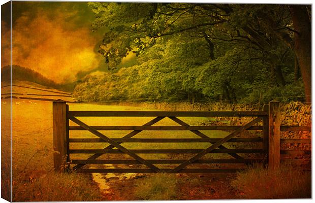 The Gate . Canvas Print by Irene Burdell