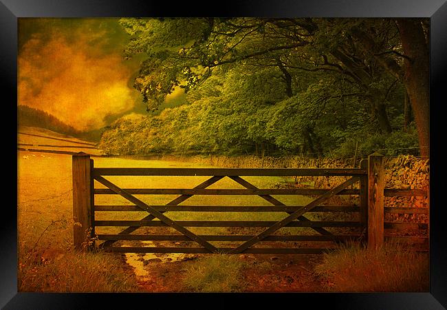 The Gate . Framed Print by Irene Burdell