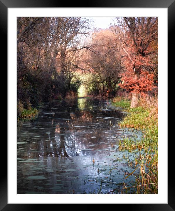 Tranquility Framed Mounted Print by Mark Jones