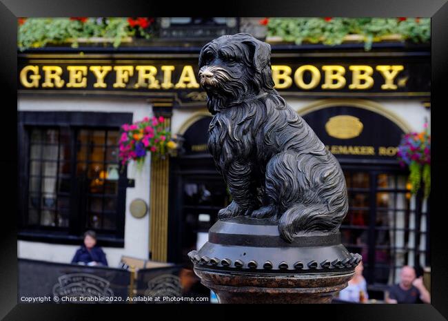 Greyfriars Bobby Framed Print by Chris Drabble