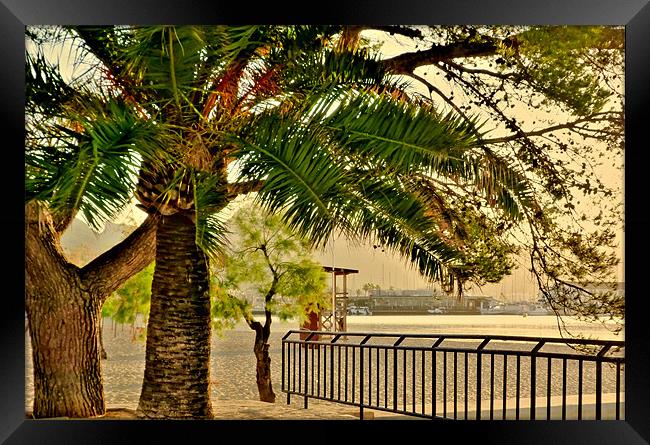 Beyond The Palm Trees Framed Print by Louise Godwin