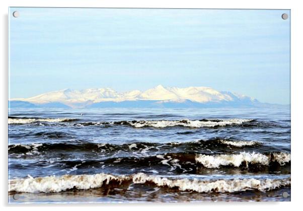 Wintry snow topped Isle of Arran, Scotland Acrylic by Allan Durward Photography