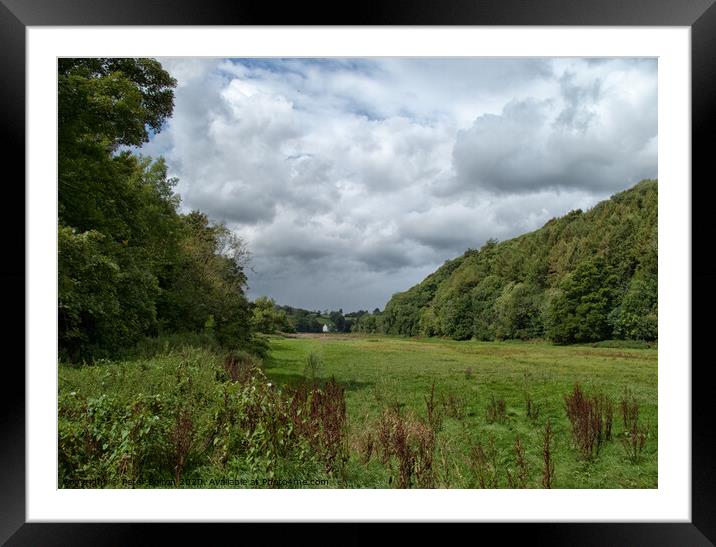 Open pasture and wood hill near Totnes, Devon, UK. Framed Mounted Print by Peter Bolton