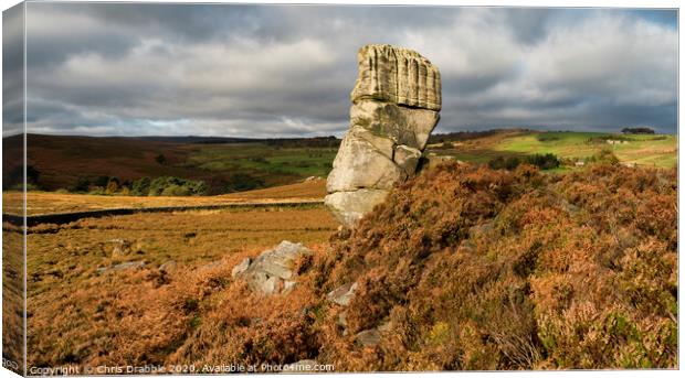 The Head Stone Canvas Print by Chris Drabble