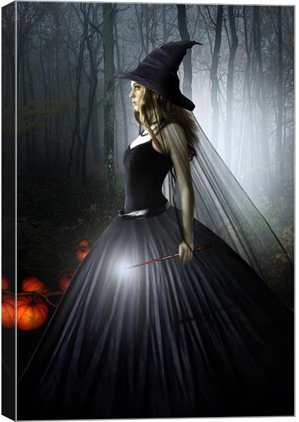 The Witching Hour Canvas Print by Julie Hoddinott