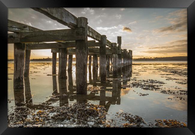 Old wooden jetty with poles reflecting in the water Framed Print by Stig Alenäs