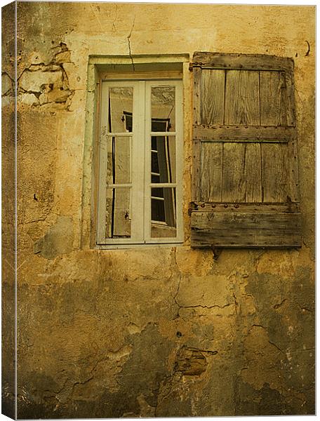 Window in a Window Canvas Print by Jacqi Elmslie