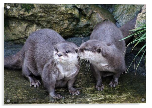 Pair of otters  Acrylic by Liann Whorwood
