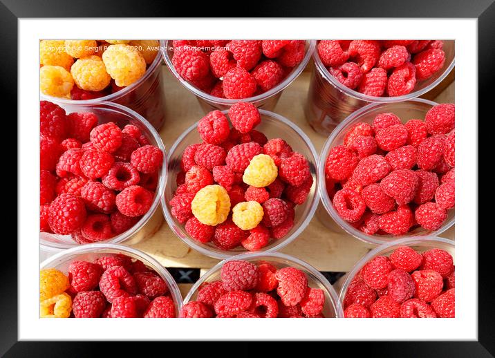 Red and yellow raspberries are collected in plastic cups. Framed Mounted Print by Sergii Petruk