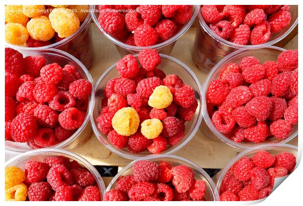 Red and yellow raspberries are collected in plastic cups. Print by Sergii Petruk