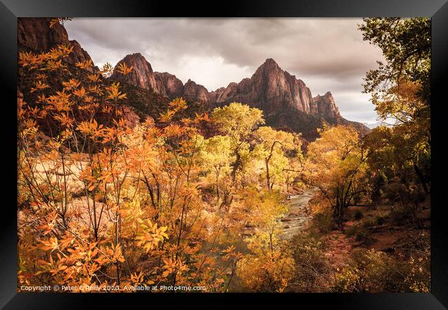 The Watchman, Zion National Park Framed Print by Peter O'Reilly