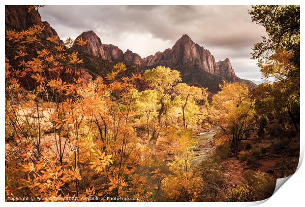The Watchman, Zion National Park Print by Peter O'Reilly