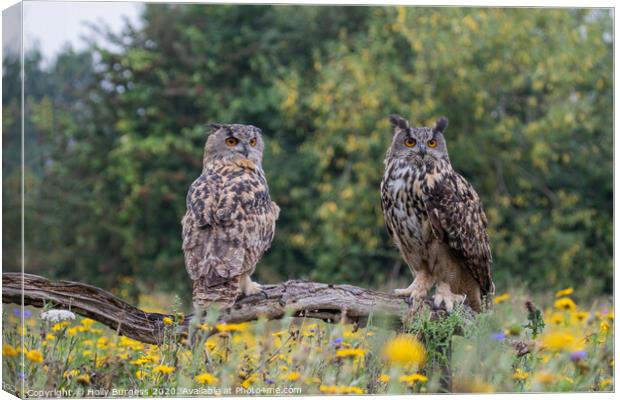 Eurasian eagle owls, two birds, both brothers,  Canvas Print by Holly Burgess