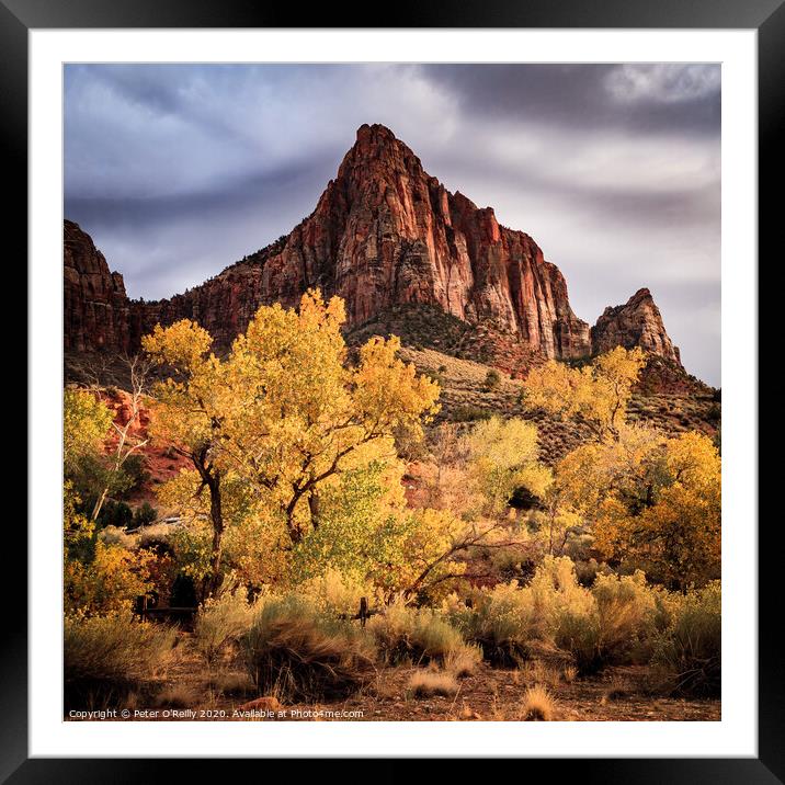 The Watchman, Zion National Park Framed Mounted Print by Peter O'Reilly