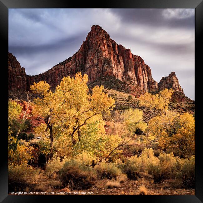 The Watchman, Zion National Park Framed Print by Peter O'Reilly