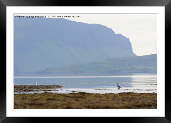 Heron at Killiechronan, Isle of Mull Framed Mounted Print by Rhys Leonard