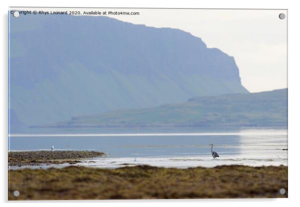 Heron at Killiechronan, Isle of Mull Acrylic by Rhys Leonard