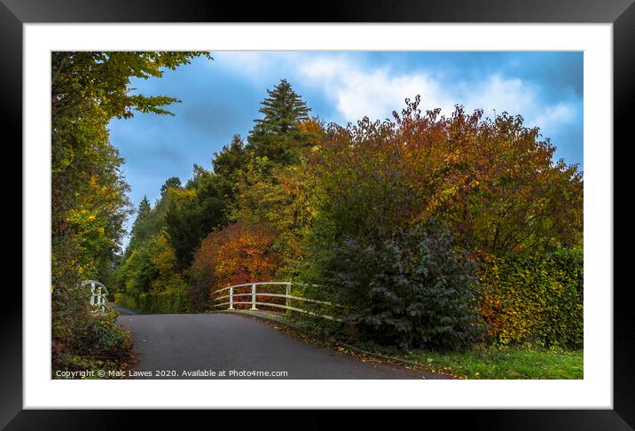 An autumn walk  Framed Mounted Print by Malc Lawes