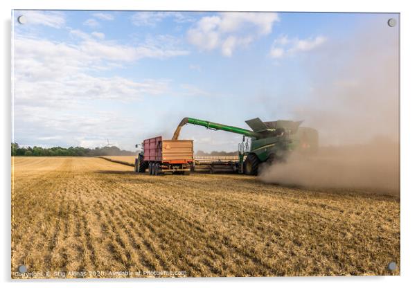 Combine harvester drains its grain in a tractor Acrylic by Stig Alenäs