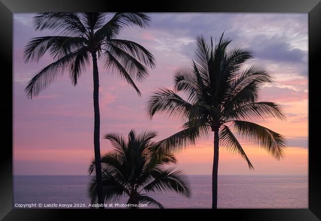 Palm trees - Big Island Framed Print by Laszlo Konya