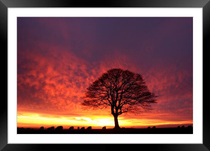 Cotswold Dawn Framed Mounted Print by Simon Johnson