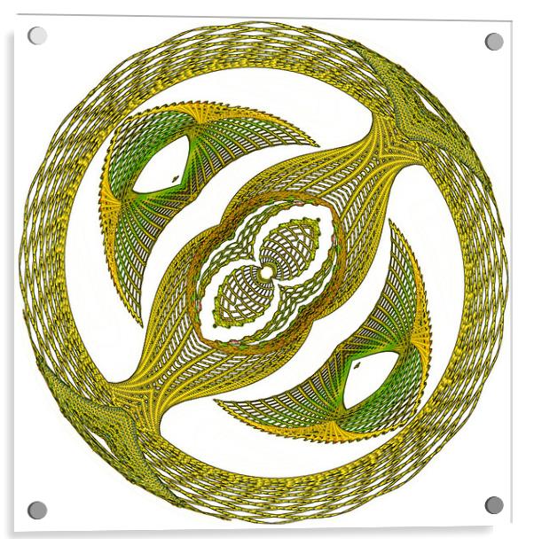 Digital String Art created as a Scalable Vector Gr Acrylic by Terry Senior