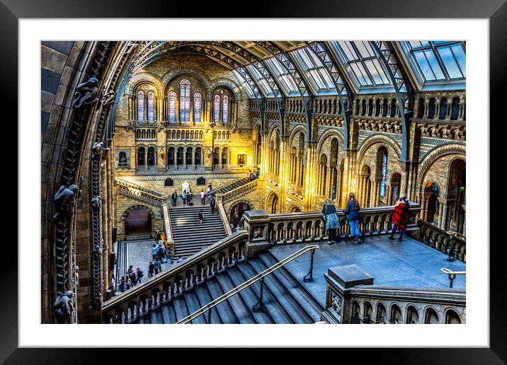 Natural history museum London Framed Mounted Print by chris smith