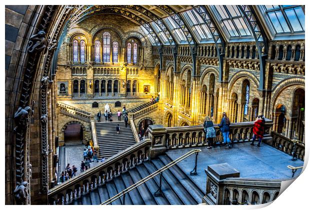Natural history museum London Print by chris smith