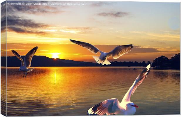 Seagulls in a golden sunrise waterscape. Canvas Print by Geoff Childs