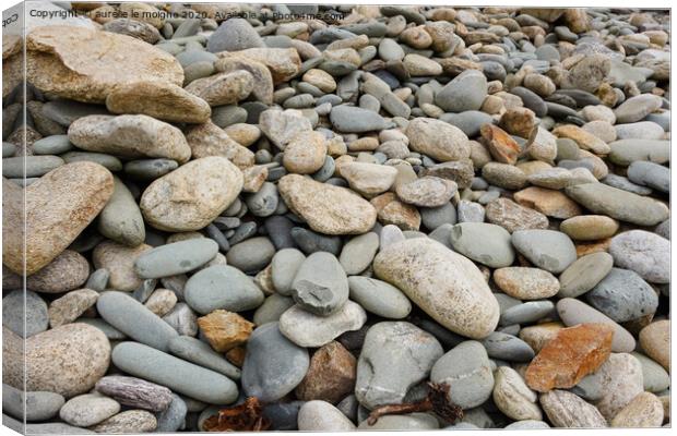 Pebbles on the coast Canvas Print by aurélie le moigne