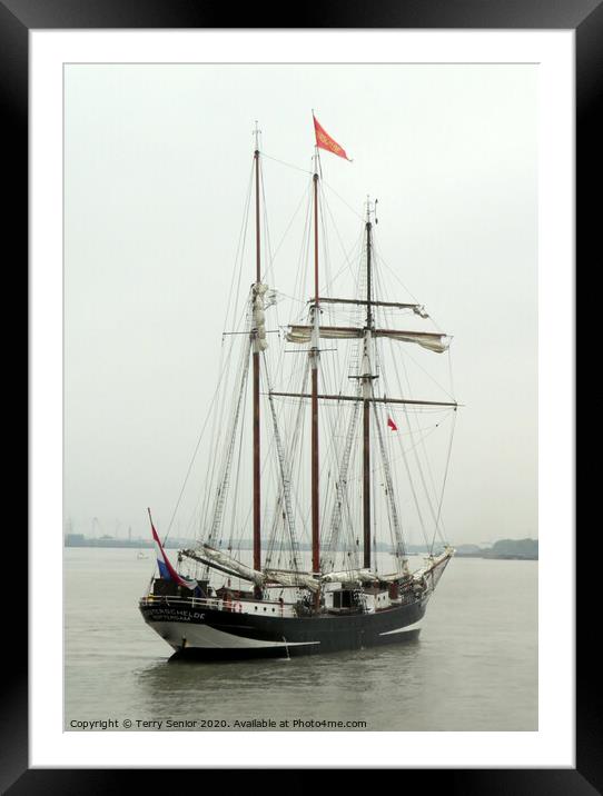 Oosterschelde is the largest restored Dutch sailing ship Framed Mounted Print by Terry Senior