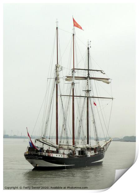 Oosterschelde is the largest restored Dutch sailing ship Print by Terry Senior