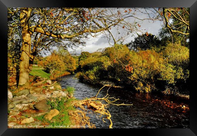 The River Greta at Ingleton Yorkshire Framed Print by Diana Mower