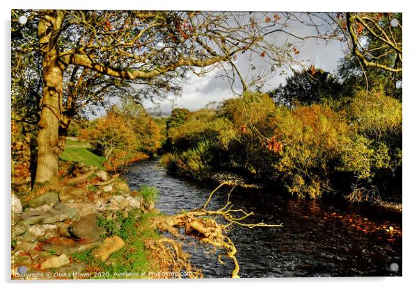 The River Greta at Ingleton Yorkshire Acrylic by Diana Mower