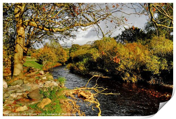 The River Greta at Ingleton Yorkshire Print by Diana Mower