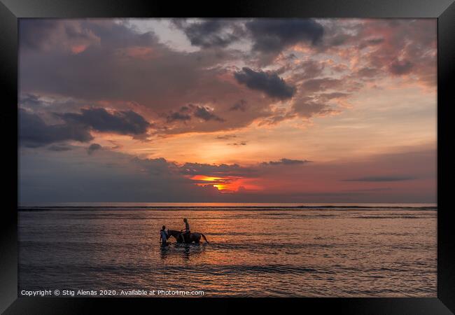 Woman riding a horse in shallow water at sunset  Framed Print by Stig Alenäs
