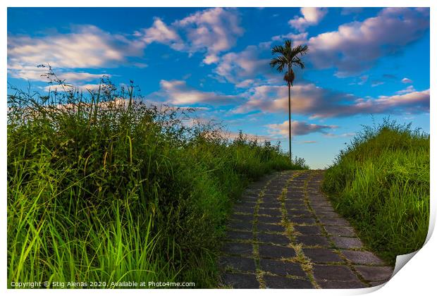 Campuhan Ridge Walk, a tropical trail over the hills at Bali   Print by Stig Alenäs
