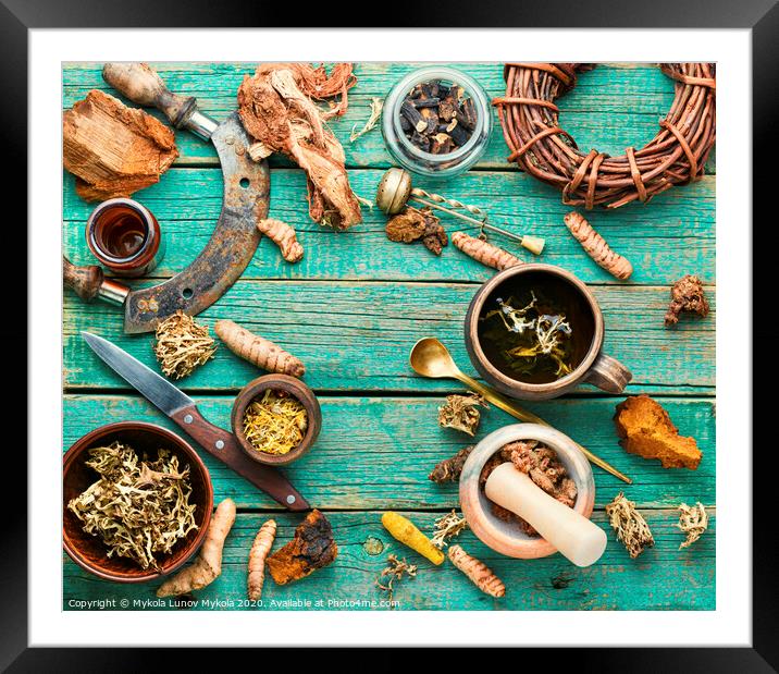 Tea and a set of medicinal herbs Framed Mounted Print by Mykola Lunov Mykola