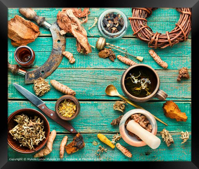 Tea and a set of medicinal herbs Framed Print by Mykola Lunov Mykola